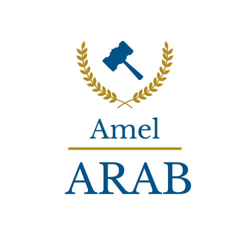Amel Arab Avocat Strasbourg Haguenau